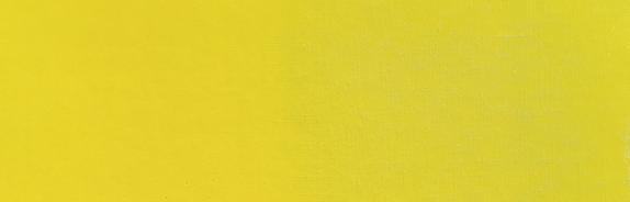 Cadmium Yellow Primrose Paint